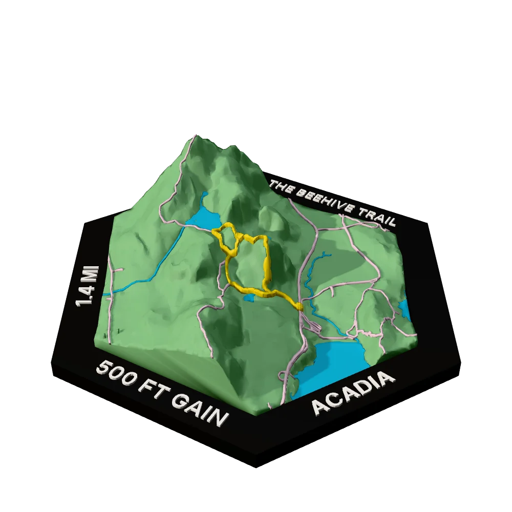 Acadia Regular hex with The Beehive Trail raised on the terrain