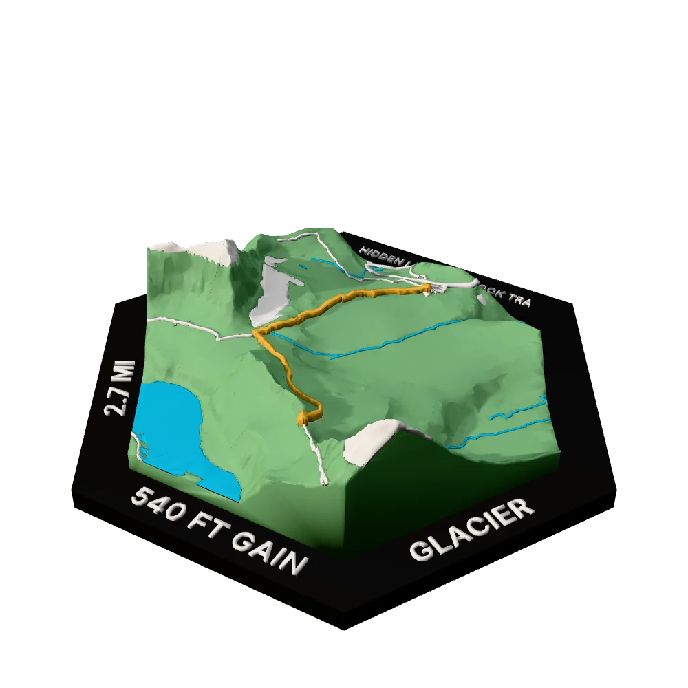 Glacier Regular hex with Hidden Lake Overlook Trail raised on the terrain