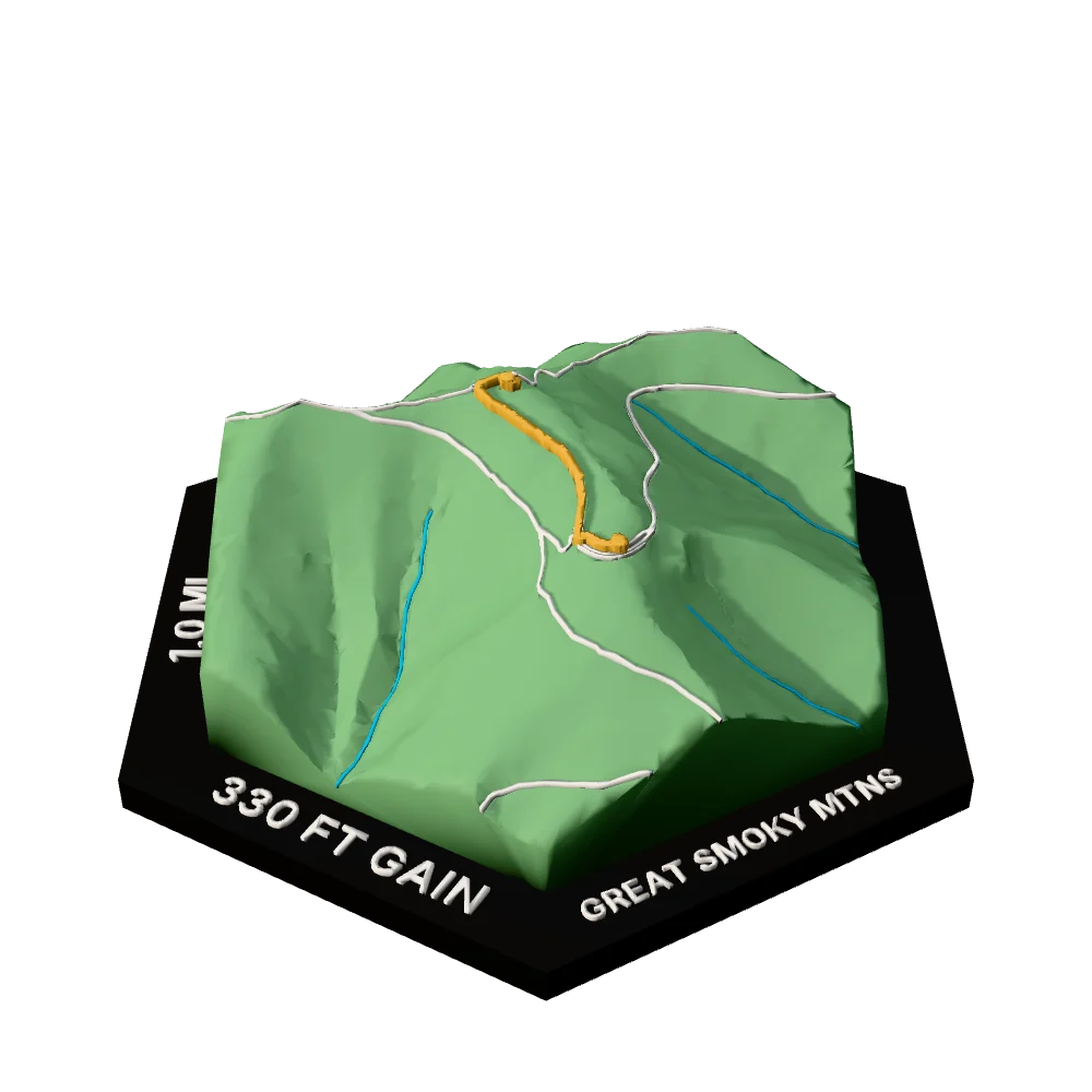Great Smoky Mountains Regular hex with Kuwohi (Clingmans Dome) Trail raised on the terrain