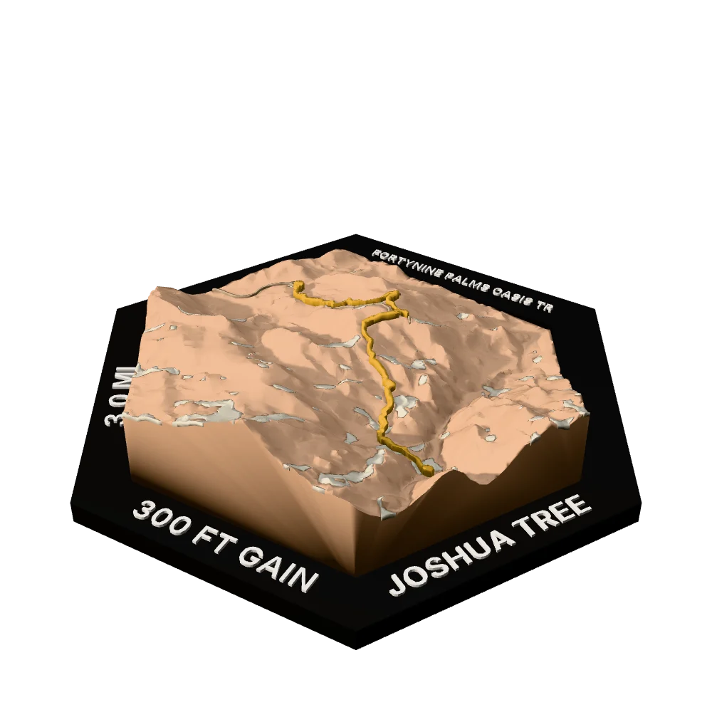 Joshua Tree Regular hex with Fortynine Palms Oasis Trail raised on the terrain