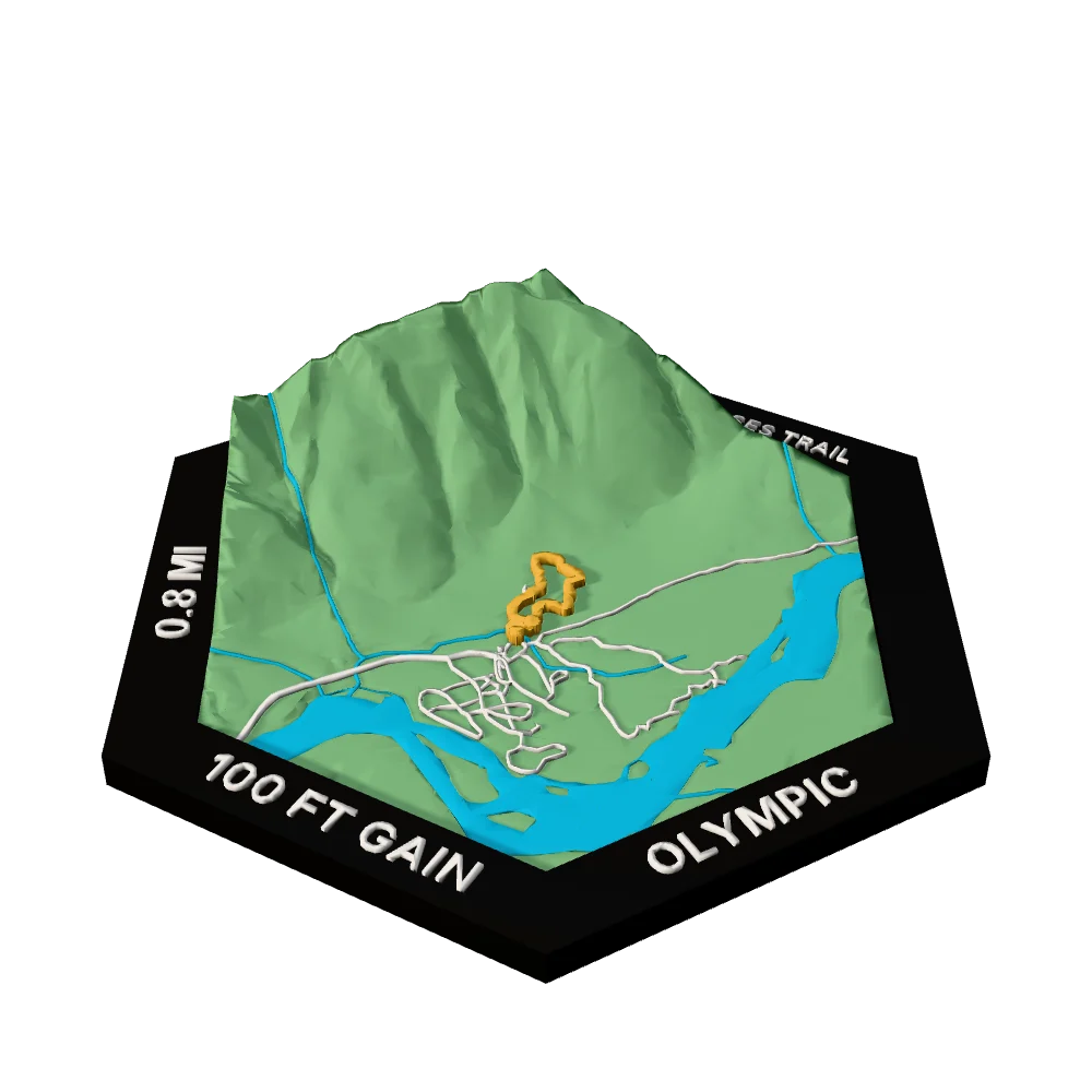 Olympic Regular hex with Hall of Mosses Trail raised on the terrain