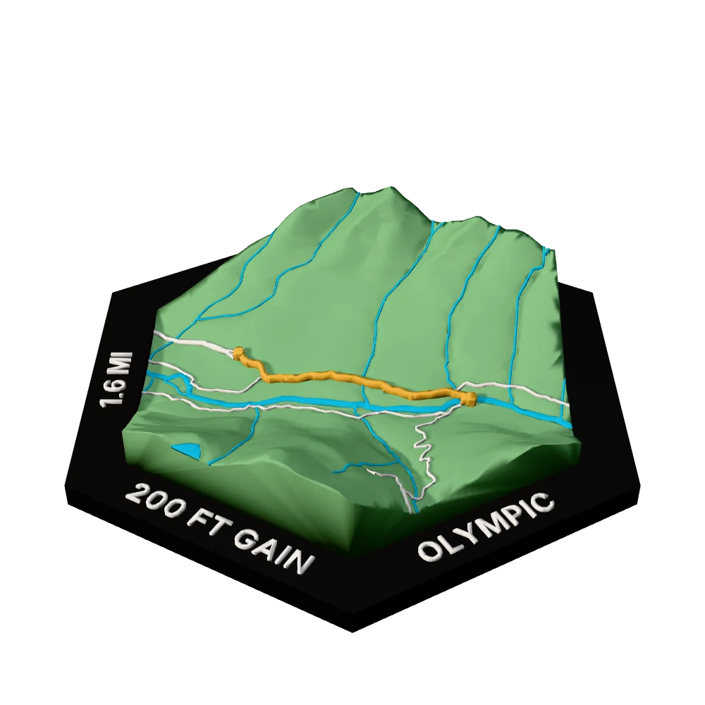 Olympic Regular hex with Sol Duc Falls Trail raised on the terrain