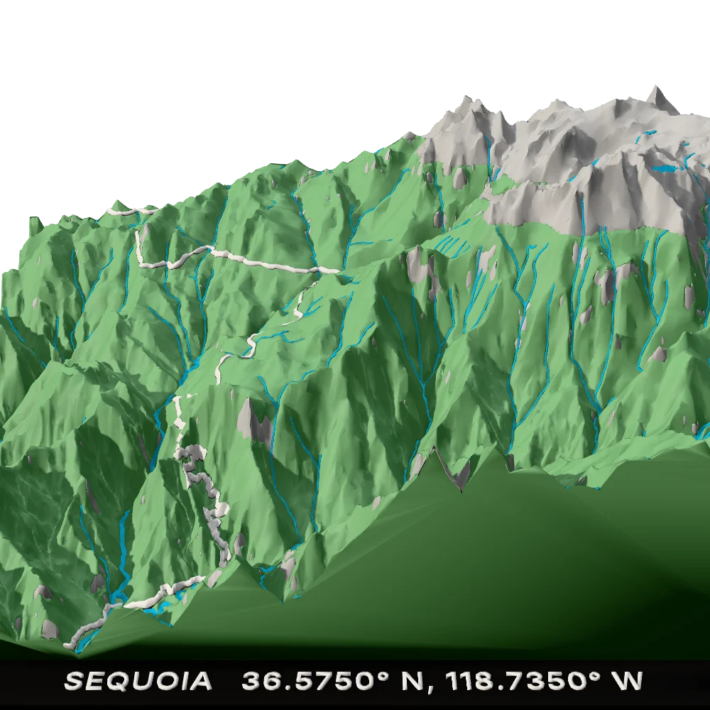 Sequoia National Park statement block, close-up of the terrain
